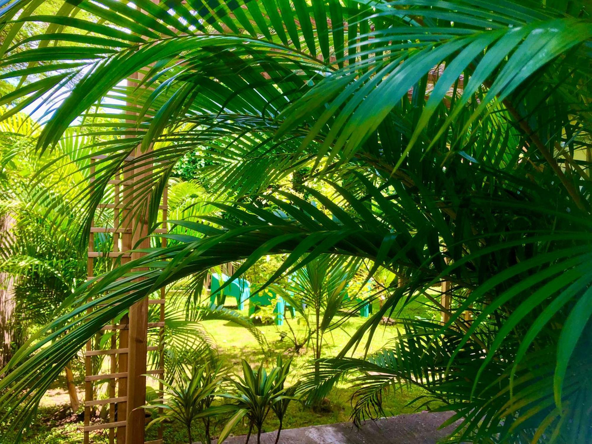 Villa Ti Kay Ilets à Les Trois-Ilets Extérieur photo